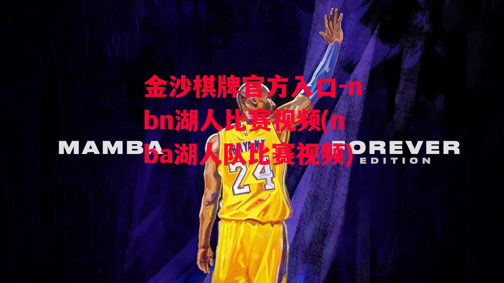 nbn湖人比赛视频(nba湖人队比赛视频)